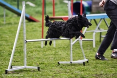 IMG2008-03-15_101
