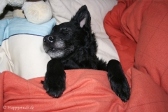 IMG2009-03-12_002