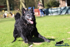 Moppel-Front-Foto_2012-03-25_215_720x