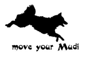 Move your Mudi by Christl Faltner